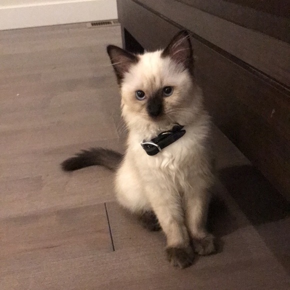 MEET YOUR SELLER/BUYER - Picture 4 of 4